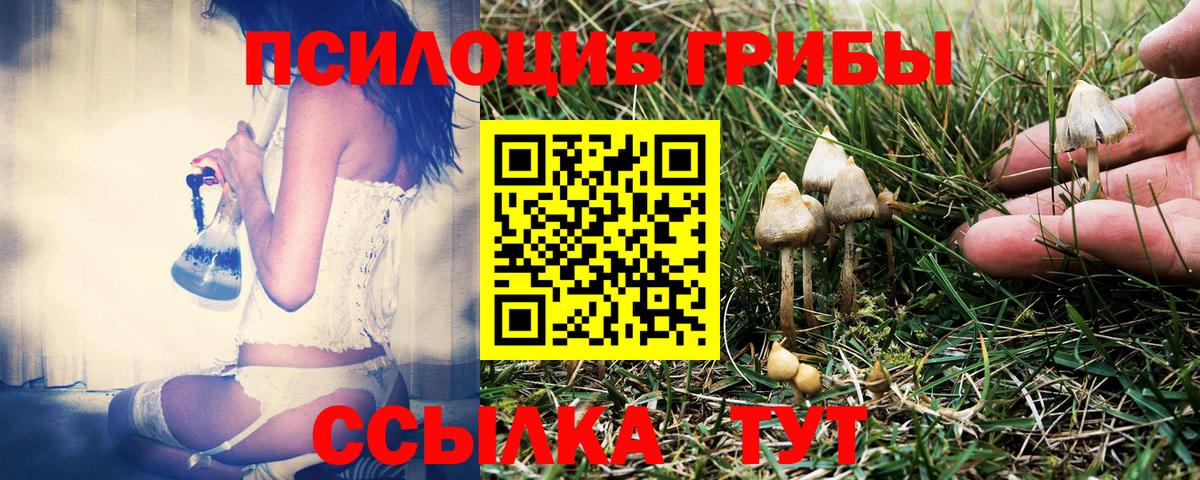 Псилоцибиновые грибы MAGIC MUSHROOMS Трёхгорный